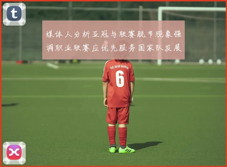 媒体人分析亚冠与联赛脱节现象强调职业联赛应优先服务国家队发展