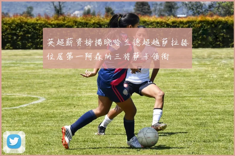 英超薪资榜揭晓哈兰德超越萨拉赫位居第一阿森纳三将萨卡领衔