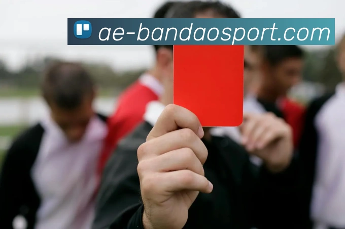 半岛足球体育APP 高清赛事图